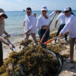 ARRANCA MARA LEZAMA TRABAJOS PARA LA TEMPORADA DE ARRIBO DE SARGAZO A LAS COSTAS DE QUINTANA ROO