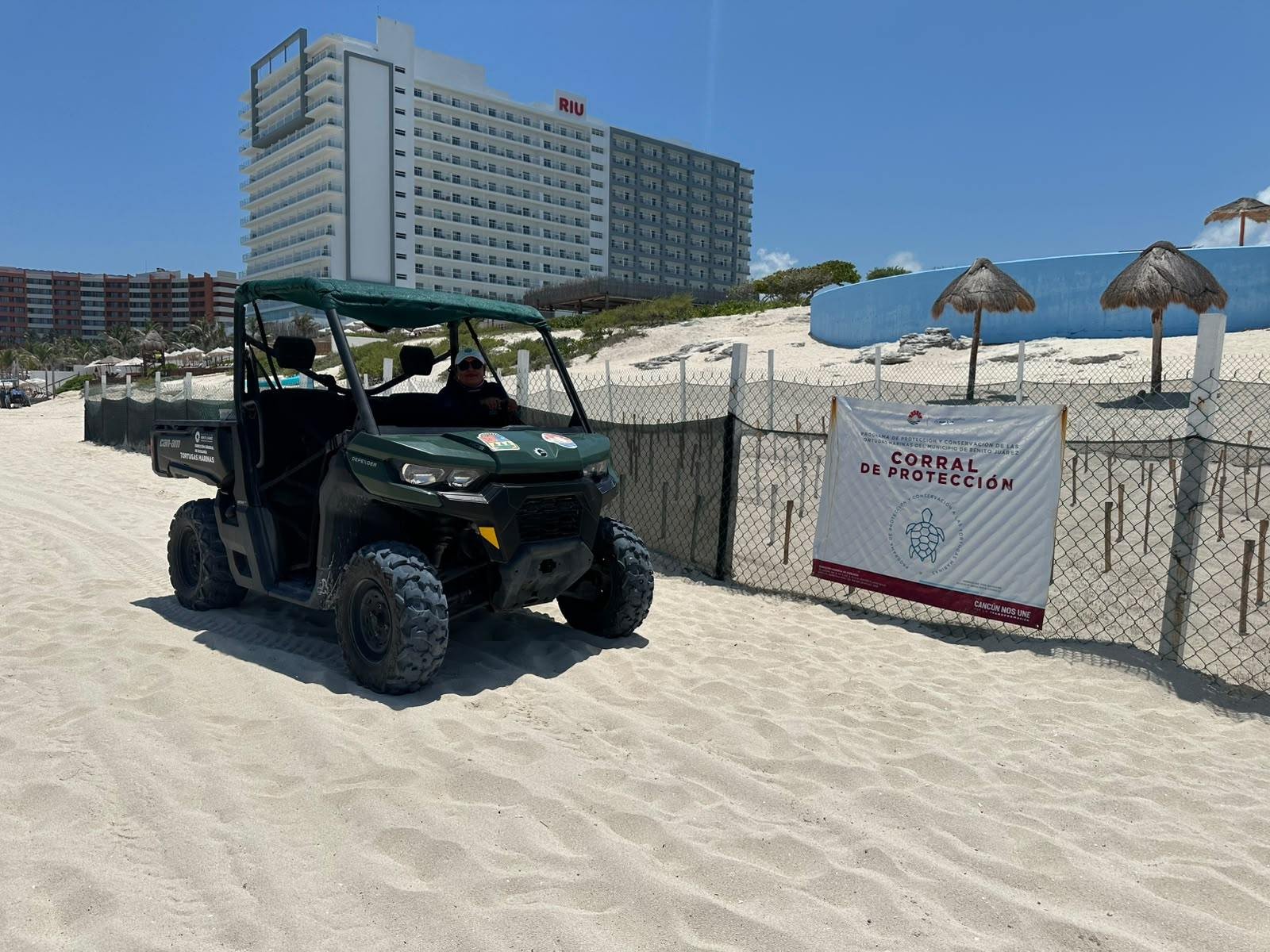 INFORMA DIRECCIÓN GENERAL DE ECOLOGÍA SOBRE MANEJO DE CORRAL DE PROTECCIÓN DE TORTUGAS MARINAS EN HOTEL LIVE AQUA CANCÚN