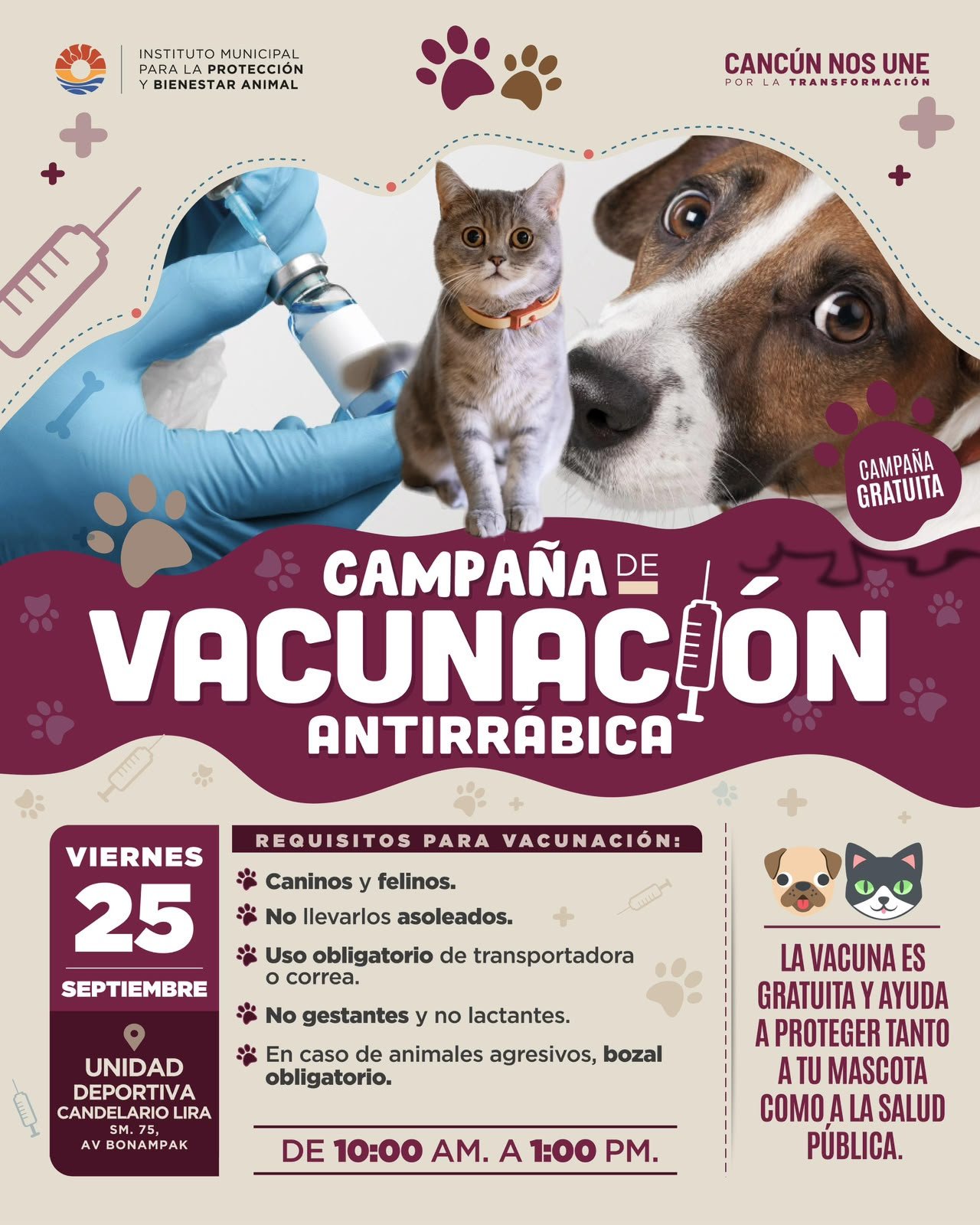 INVITA AYUNTAMIENTO DE BJ A APROVECHAR CAMPAÑA DE VACUNACIÓN ANTIRRÁBICA GRATUITA