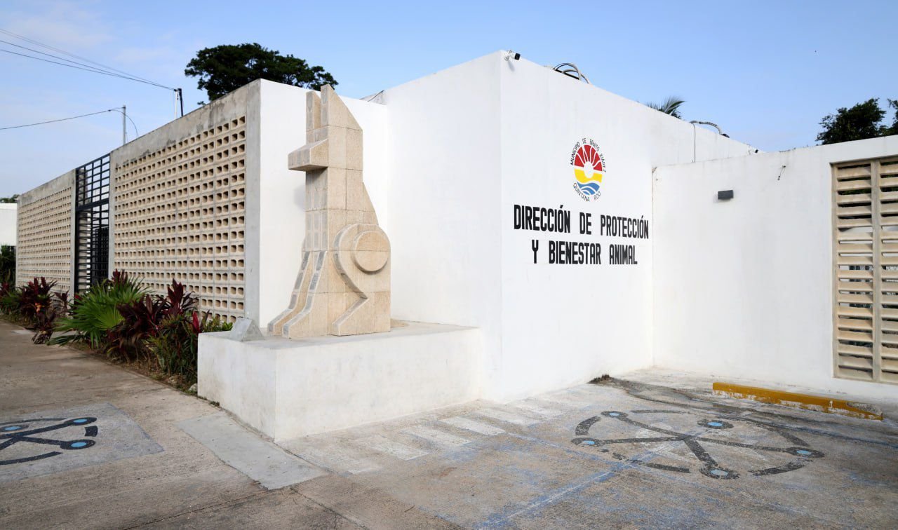 GARANTIZA INSTITUTO DE PROTECCIÓN Y BIENESTAR ANIMAL DESTINO DIGNO PARA ANIMALES FALLECIDOS
