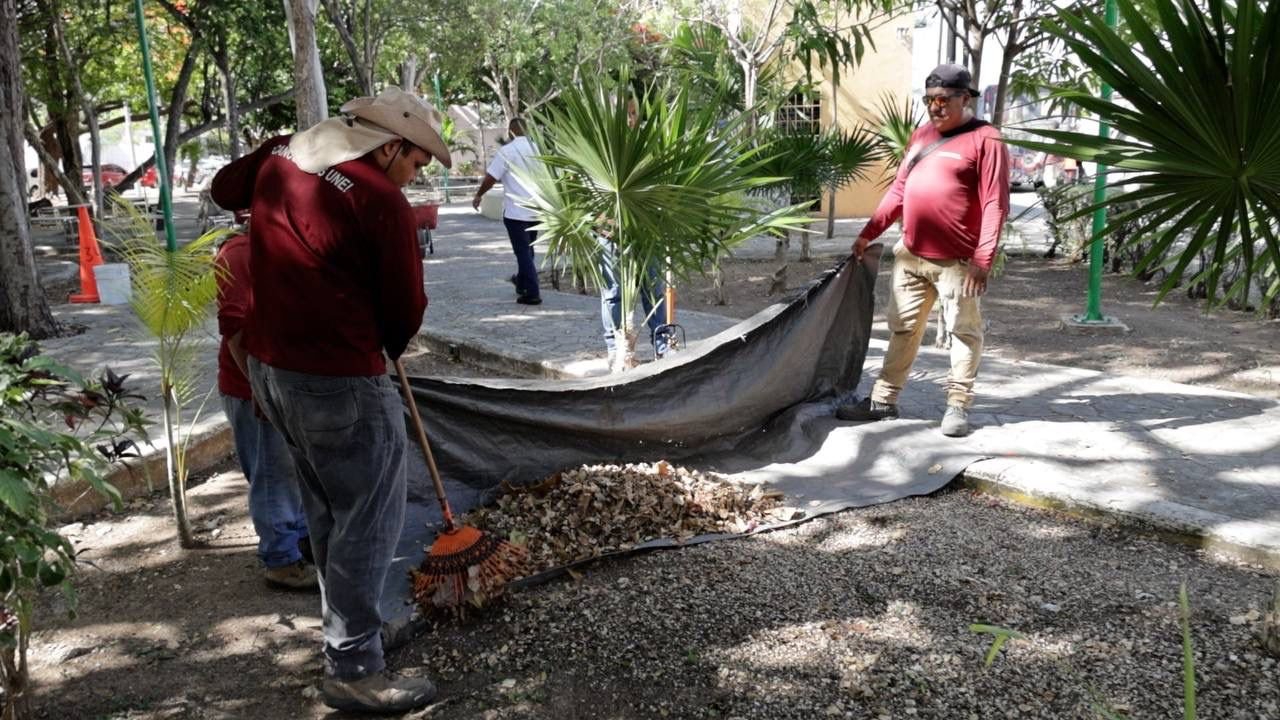 SUPERVISA ANA PATY PERALTA BRIGADAS DE LIMPIEZA EN EL CORAZÓN DE LA CIUDAD