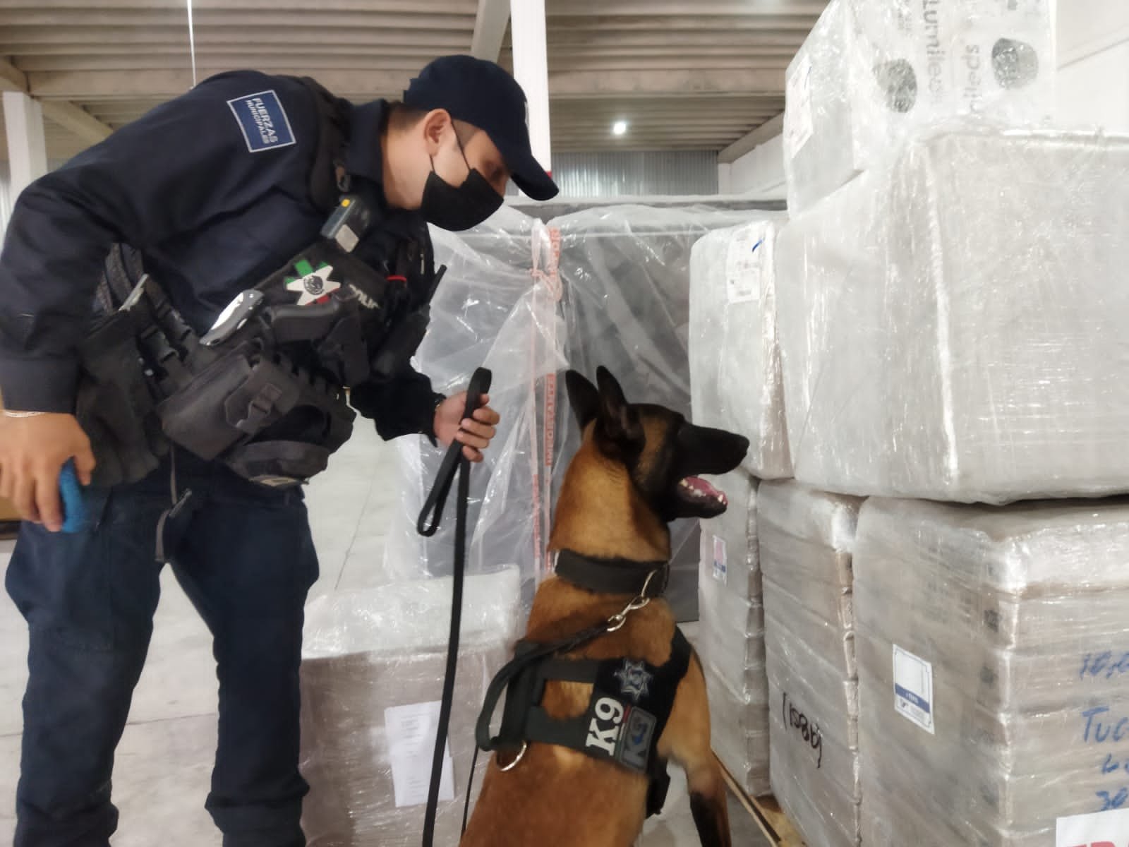 GOBIERNO MUNICIPAL FORTALECE UNIDAD CANINA EN PRO DE MEJORES OPERATIVOS DE SEGURIDAD