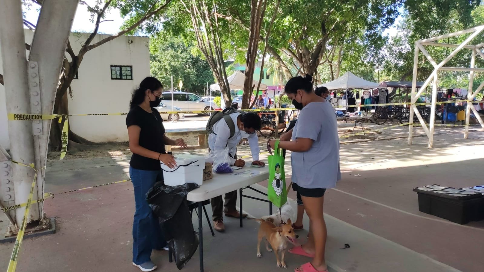 GOBIERNO DE SOLIDARIDAD, ACERCA VACUNACIÓN ANTIRRÁBICA A MÁS DE 500 MASCOTAS