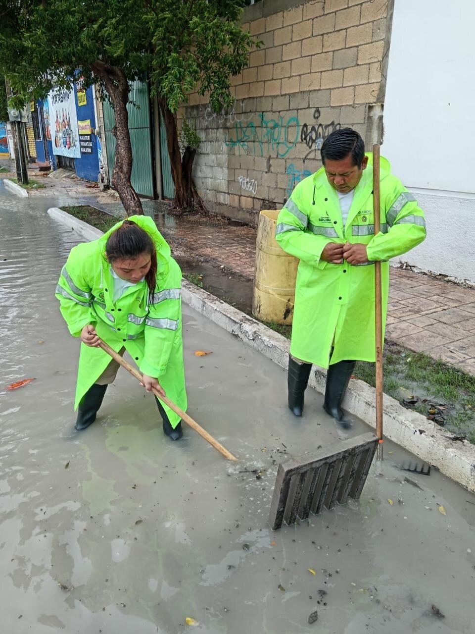 EN SOLIDARIDAD REFORZAMOS OPERATIVOS DE LIMPIEZA POR LLUVIAS: LILI CAMPOS
